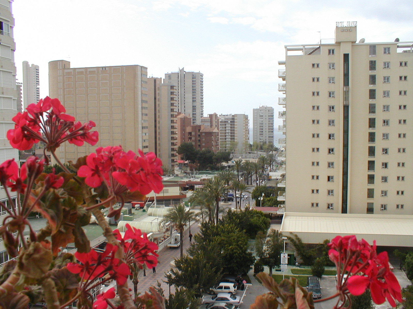 Vista